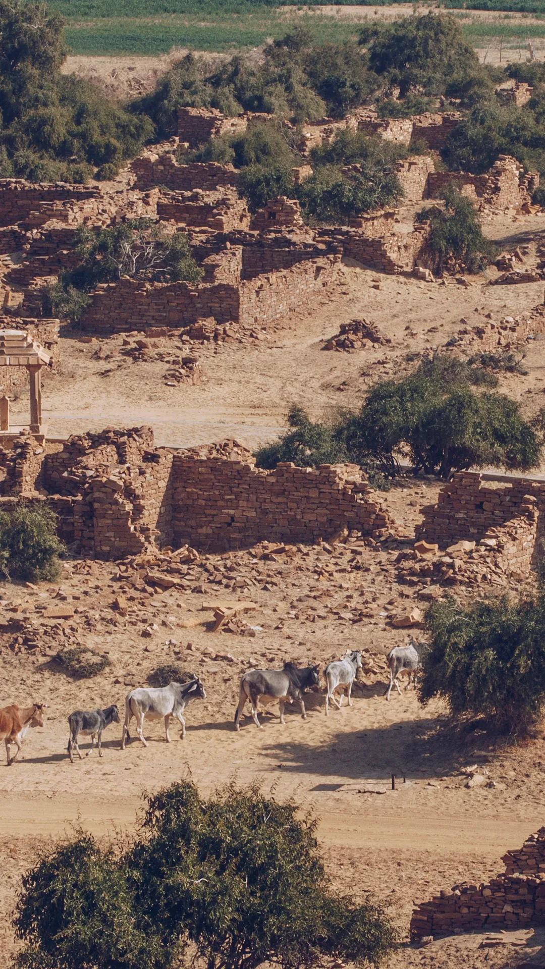 Suryagarh Exploration Thar Trail 10